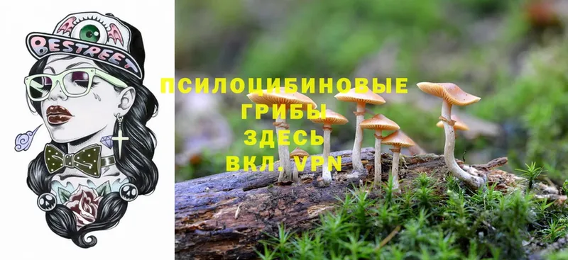 Галлюциногенные грибы Magic Shrooms  дарнет шоп  Клин 